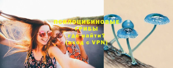 марихуана Новодвинск
