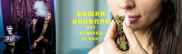 трава Новозыбков