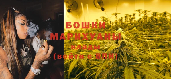 трава Новозыбков
