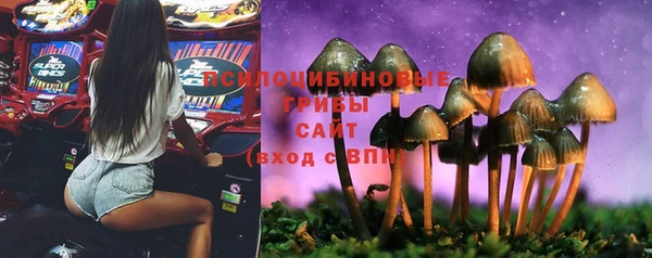 трава Новозыбков