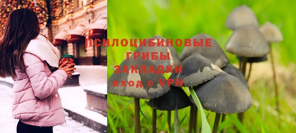 марихуана Новодвинск
