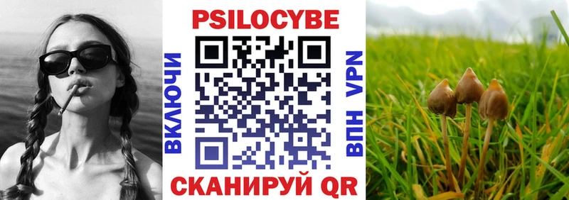 kraken tor  Поронайск  Псилоцибиновые грибы Psilocybine cubensis 